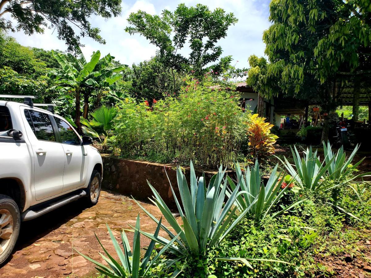 The Jungle Villa Mérida Buitenkant foto