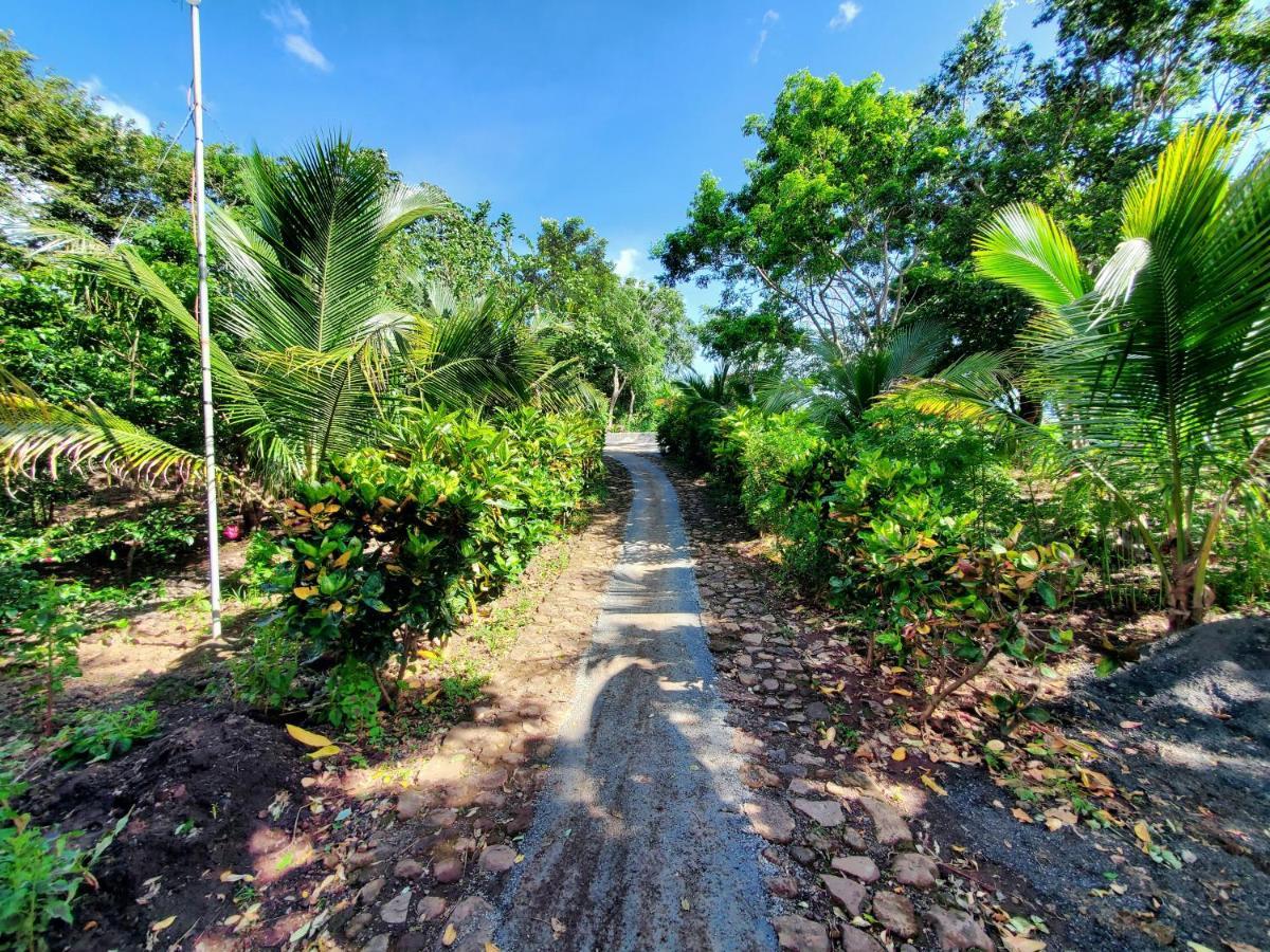 The Jungle Villa Mérida Buitenkant foto
