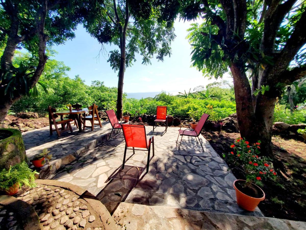 The Jungle Villa Mérida Buitenkant foto