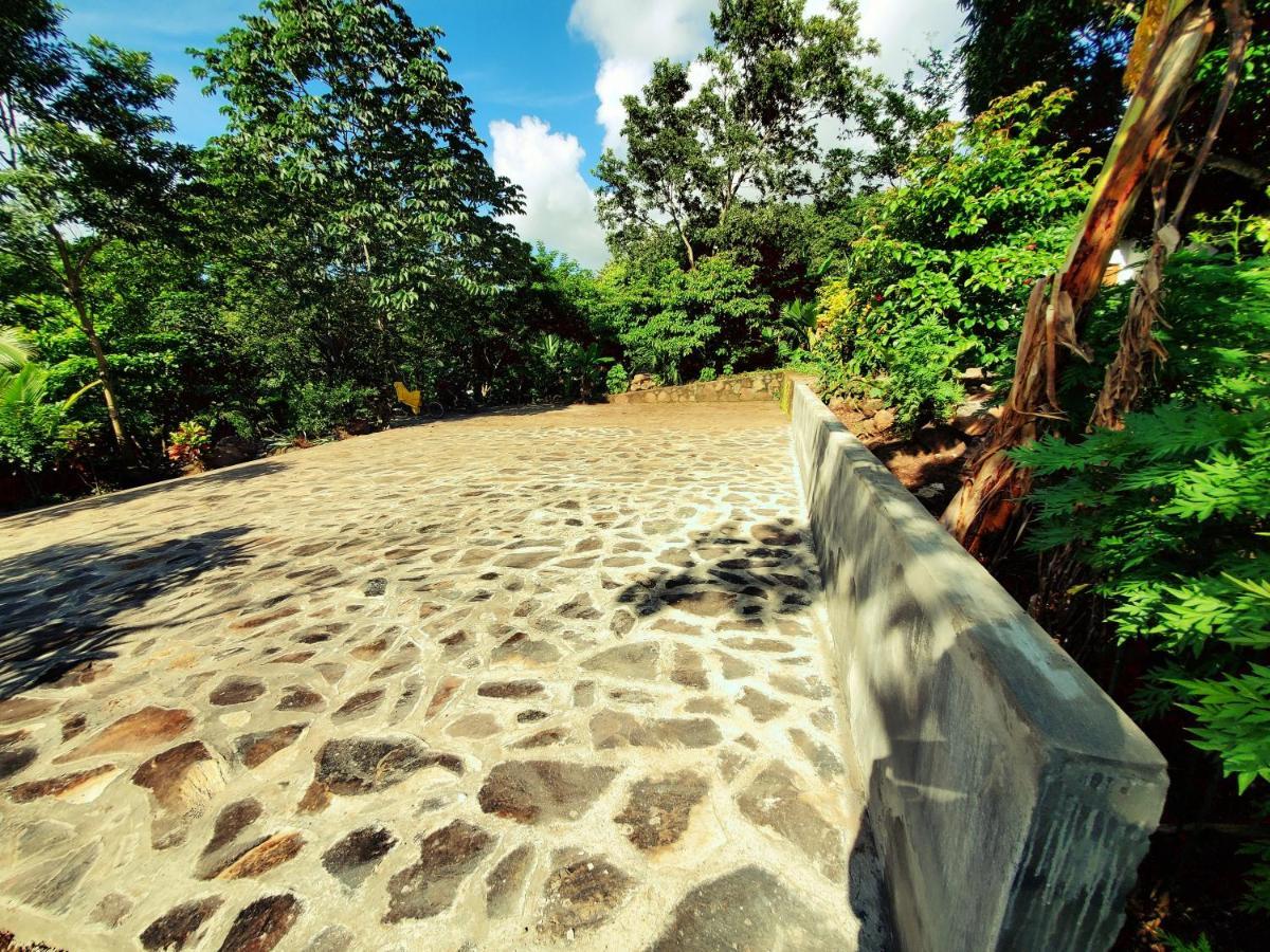 The Jungle Villa Mérida Buitenkant foto