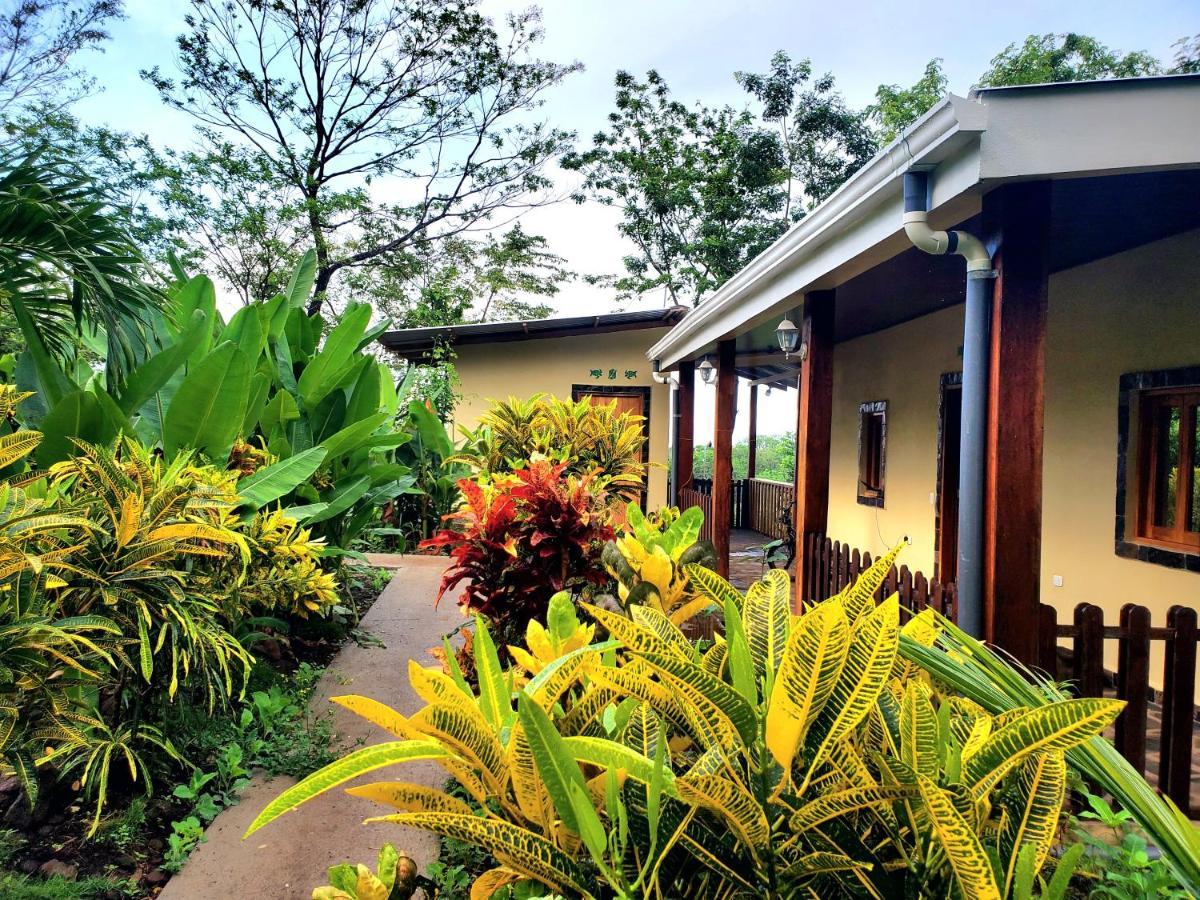 The Jungle Villa Mérida Buitenkant foto
