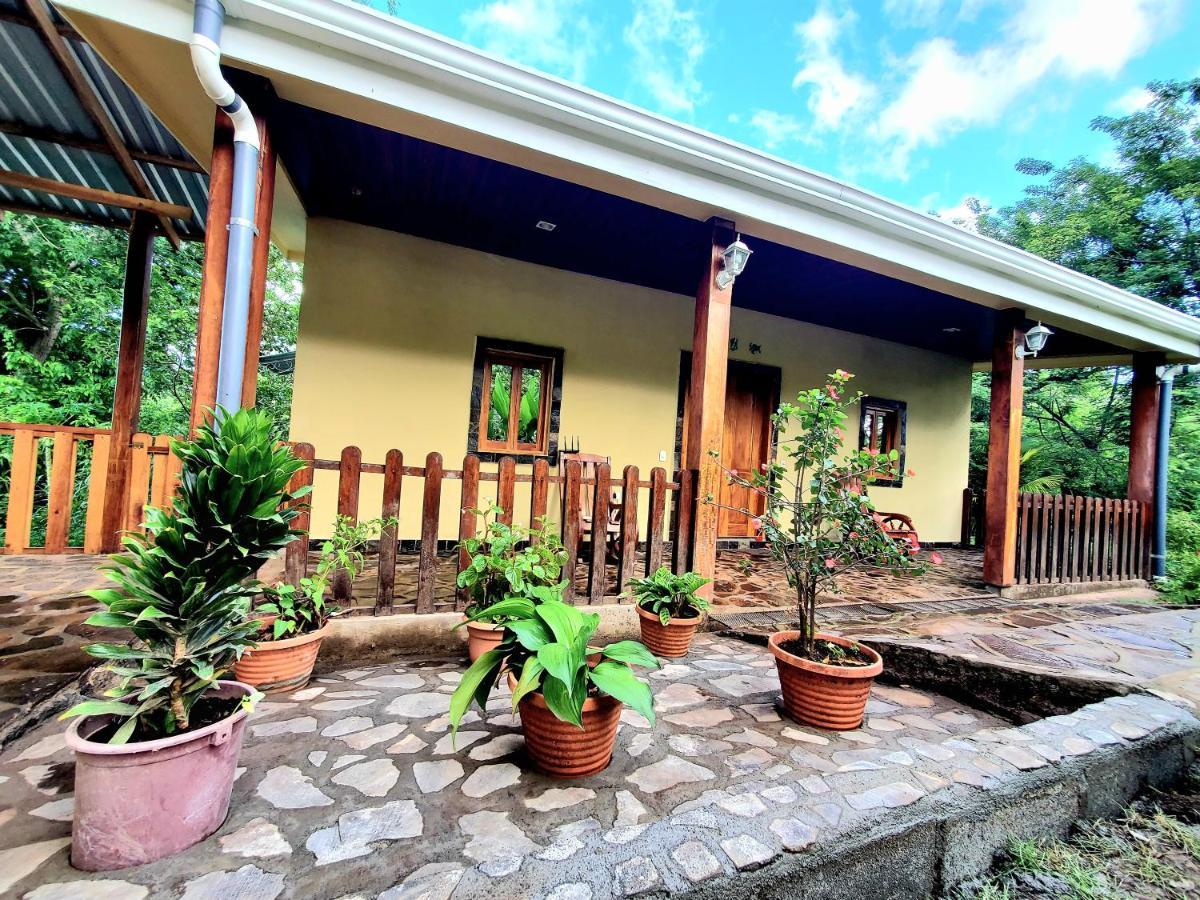 The Jungle Villa Mérida Buitenkant foto