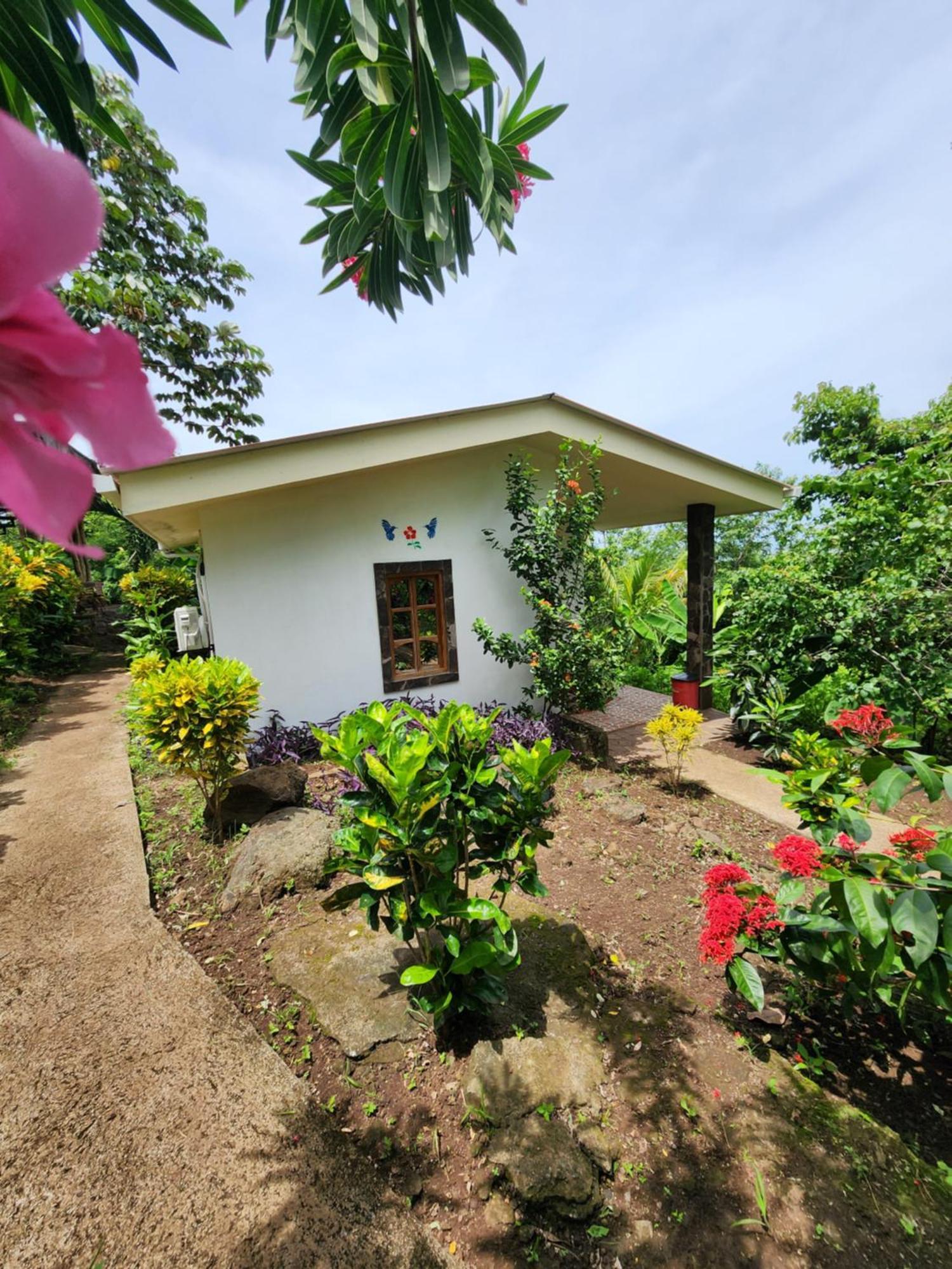 The Jungle Villa Mérida Buitenkant foto