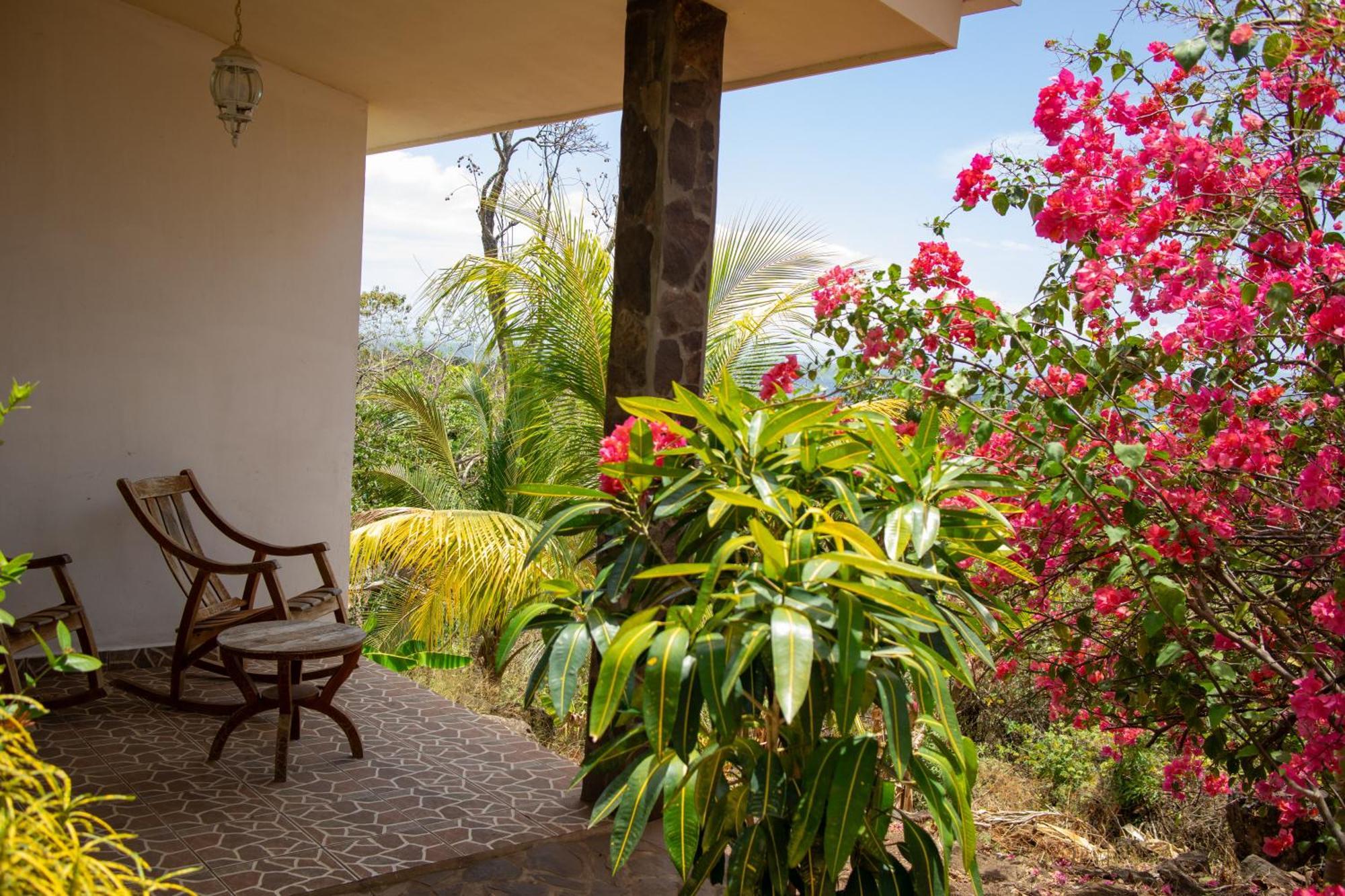 The Jungle Villa Mérida Buitenkant foto