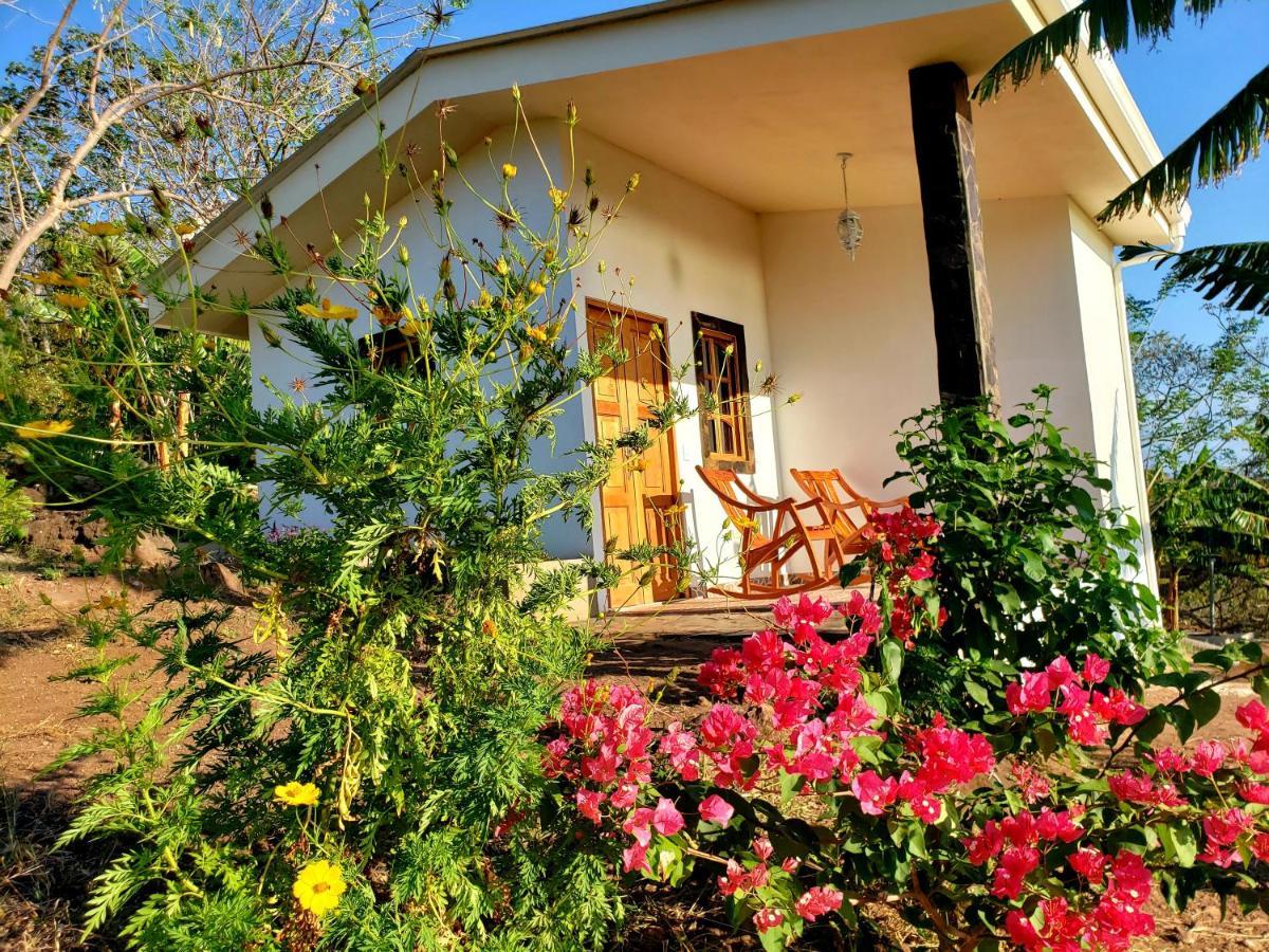 The Jungle Villa Mérida Buitenkant foto